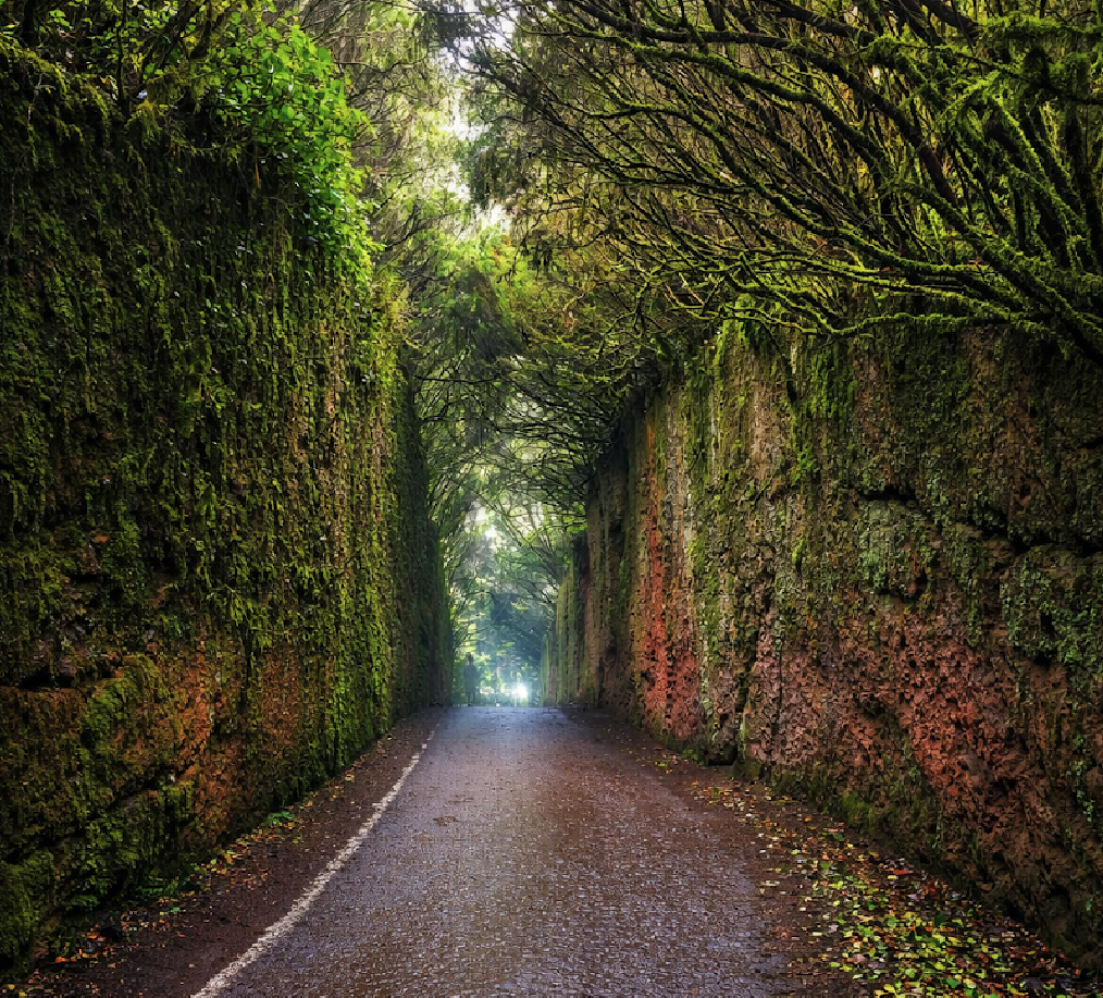 Сельский парк Анага 3